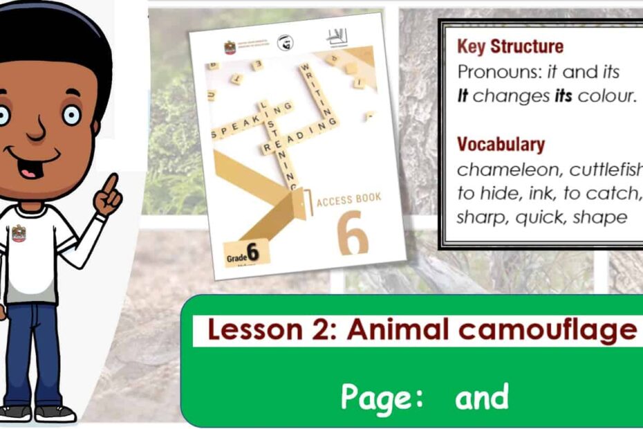 حل درس Animals camouflage اللغة الإنجليزية الصف السادس Access - بوربوينت