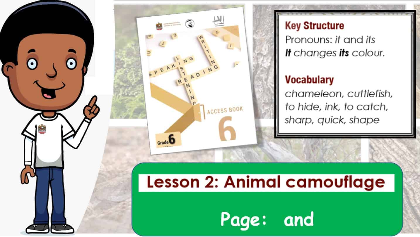 حل درس Animals camouflage اللغة الإنجليزية الصف السادس Access - بوربوينت