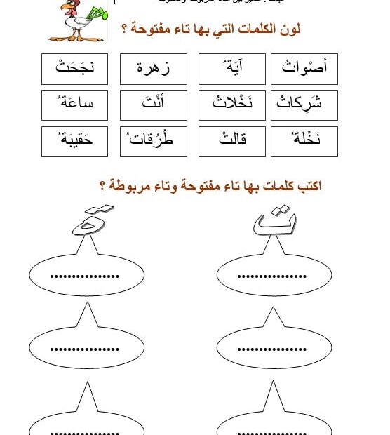 أوراق عمل التاء المفتوحة والتاء المربوطة اللغة العربية الصف الثاني