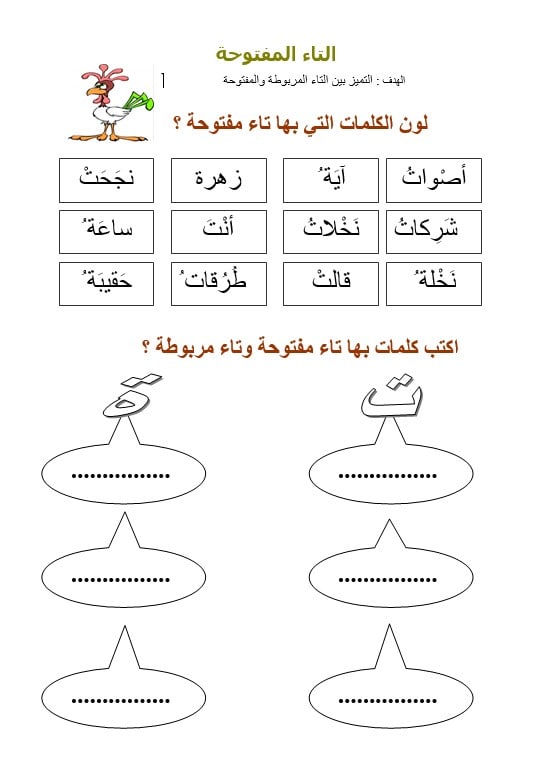 أوراق عمل التاء المفتوحة والتاء المربوطة اللغة العربية الصف الثاني