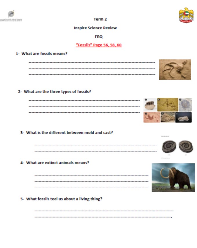 ورقة عمل أسئلة كتابية Fossils & Changes Affect Organisms العلوم المتكاملة الصف الثالث 