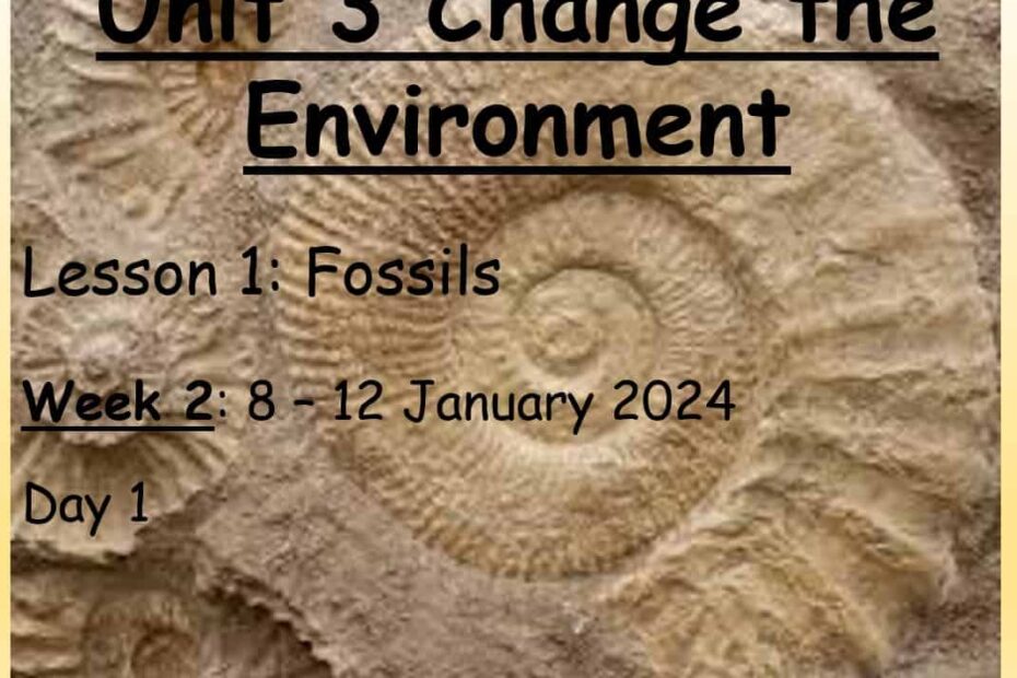 حل درس Fossils العلوم المتكاملة الصف الثالث - بوربوينت