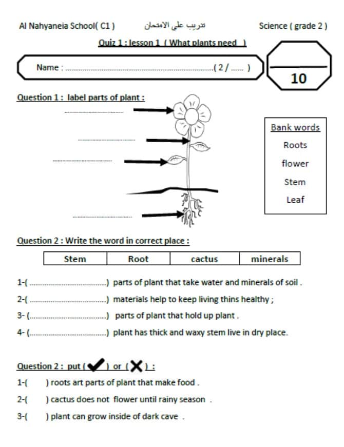 ورقة عمل plants needs العلوم المتكاملة الصف الثاني