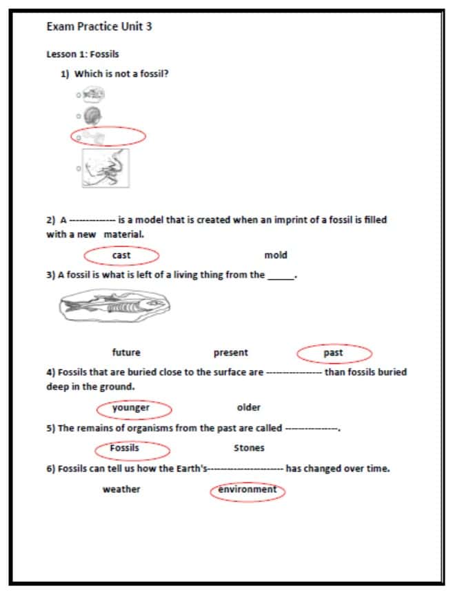 حل ورقة عمل Exam Practice Unit 3 العلوم المتكاملة الصف الثالث