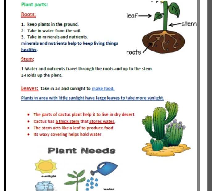 ملخص درس Plants العلوم المتكاملة الصف الثاني