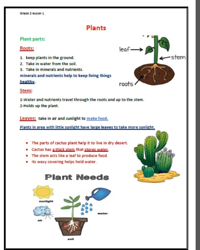 ملخص درس Plants العلوم المتكاملة الصف الثاني 