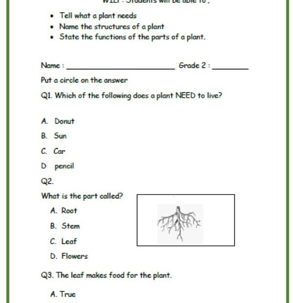 ورقة عمل Plants needs العلوم المتكاملة الصف الثاني