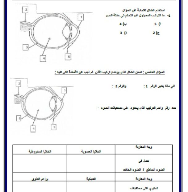 ورقة عمل تقييم ختامي الحواس البصر الأحياء الصف التاسع متقدم