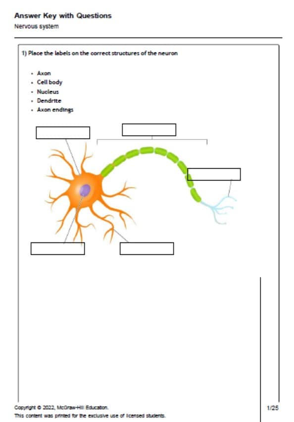 حل أوراق عمل Nervous system الأحياء الصف التاسع متقدم