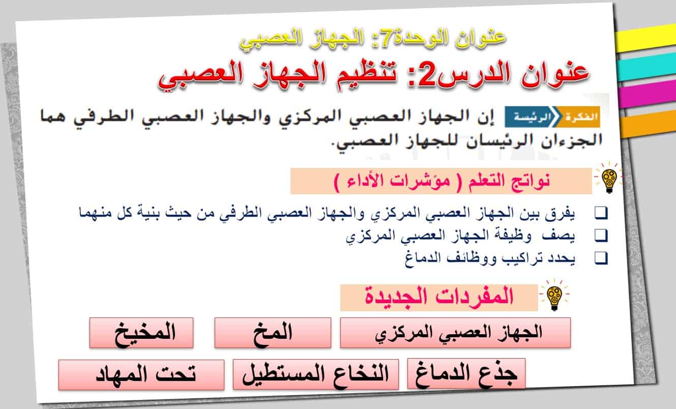 حل درس تنظيم الجهاز العصبي الأحياء الصف التاسع متقدم - بوربوينت 