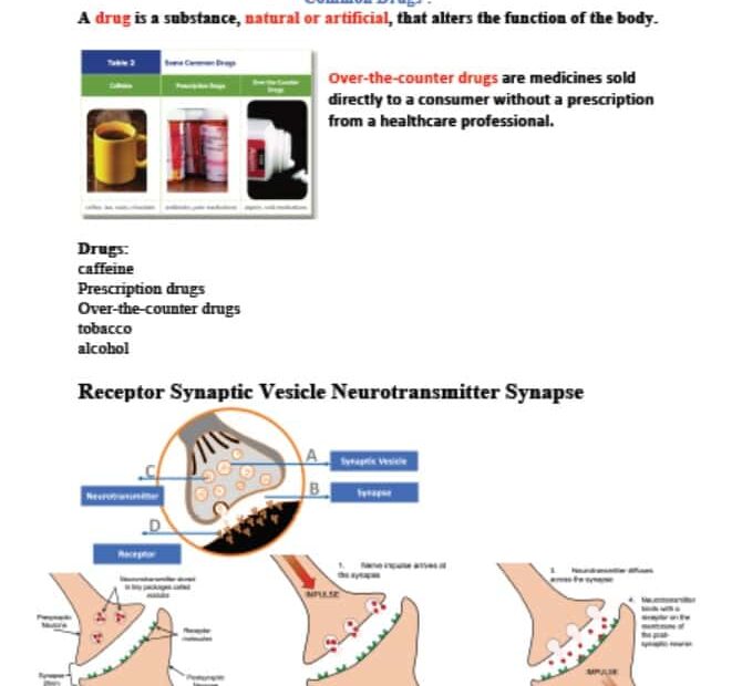 ملخص Effect of Drugs الأحياء الصف التاسع