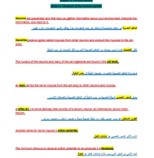 ملخص Structure of the nervous system الأحياء الصف التاسع