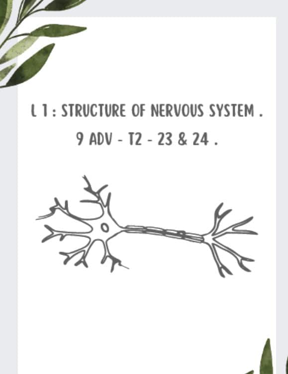 ملخص Structure of the nervous system الأحياء الصف التاسع متقدم 