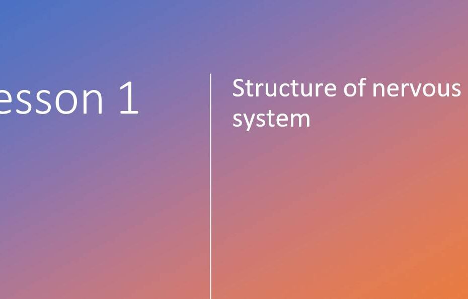 ملخص Structure of the nervous system الأحياء الصف التاسع متقدم - بوربوينت