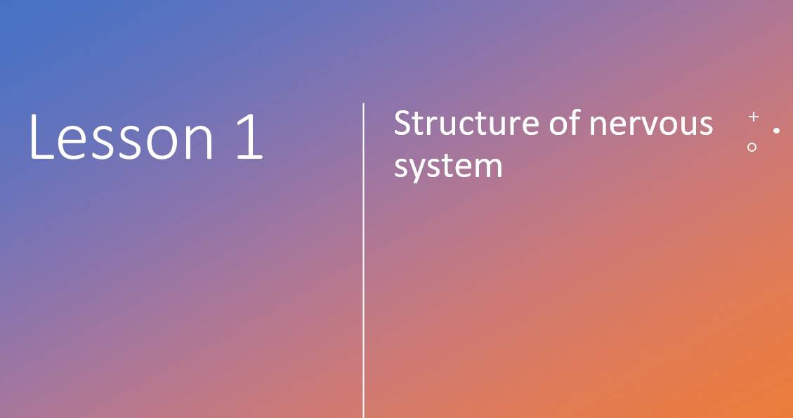 ملخص Structure of the nervous system الأحياء الصف التاسع متقدم - بوربوينت 