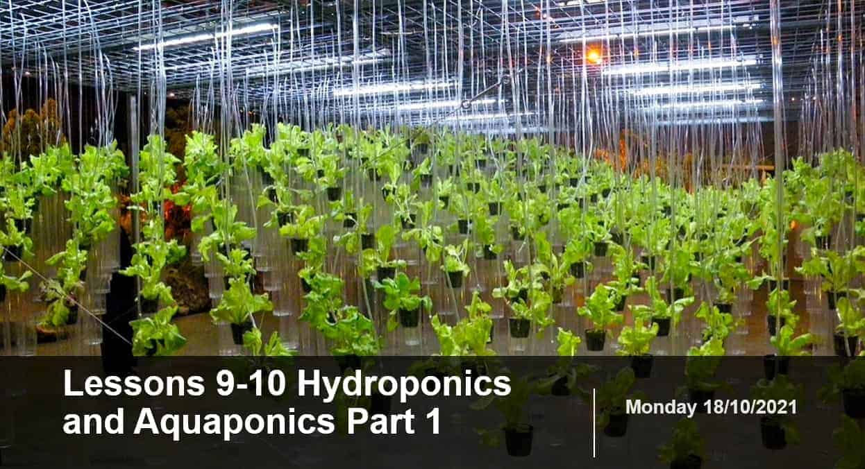 درس Hydroponics and Aquaponics Part 1 اللغة الإنجليزية الصف التاسع - بوربوينت 