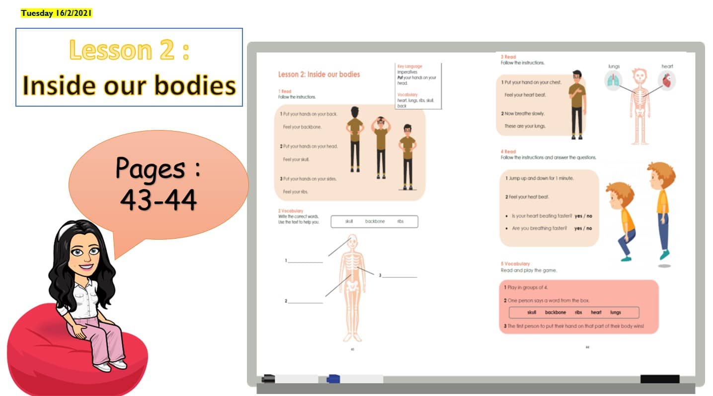 حل درس Inside our bodies اللغة الإنجليزية الصف الرابع Access - بوربوينت