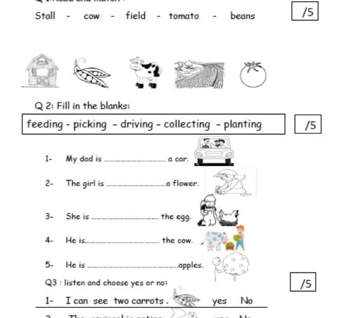 نموذج امتحان الأول Unit 6 اللغة الإنجليزية الصف الثاني