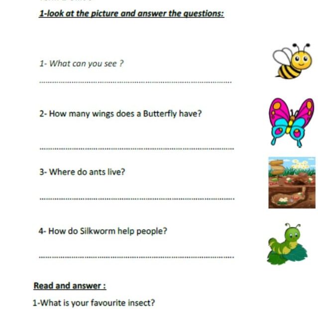 ورقة عمل الوحدة السادسة اللغة الإنجليزية الصف الثالث