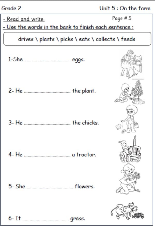 حل أوراق عمل On the farm اللغة الإنجليزية الصف الثاني 