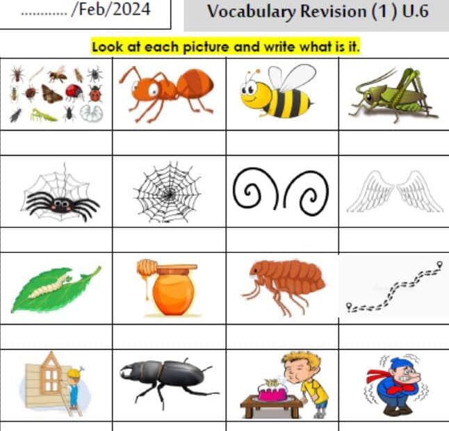 مراجعة Vocabulary Revision Unit 6 اللغة الإنجليزية الصف الثالث