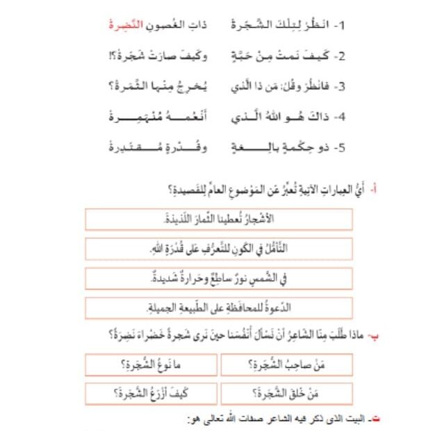 مراجعة تدريبات هيكلة اللغة العربية الصف الثالث