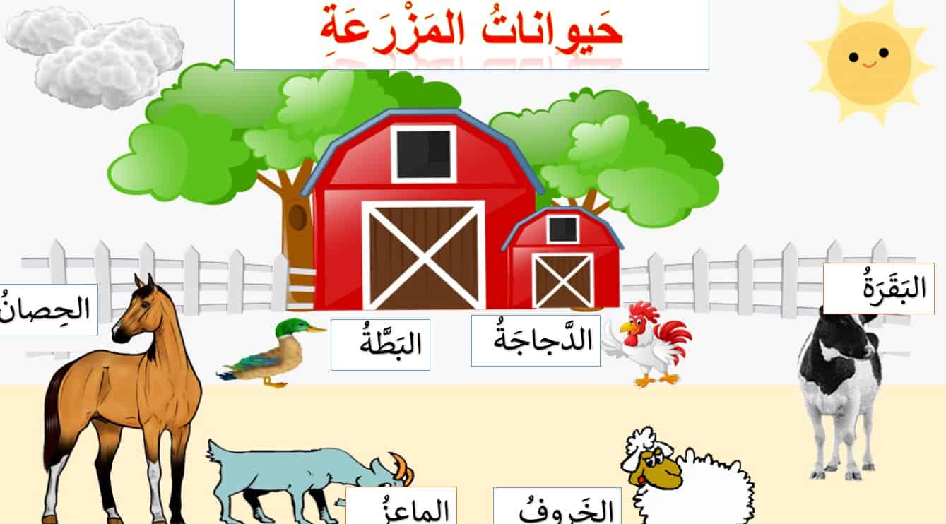 قصة درس في المزرعة لغير الناطقين بها اللغة العربية الصف الثالث - بوربوينت 