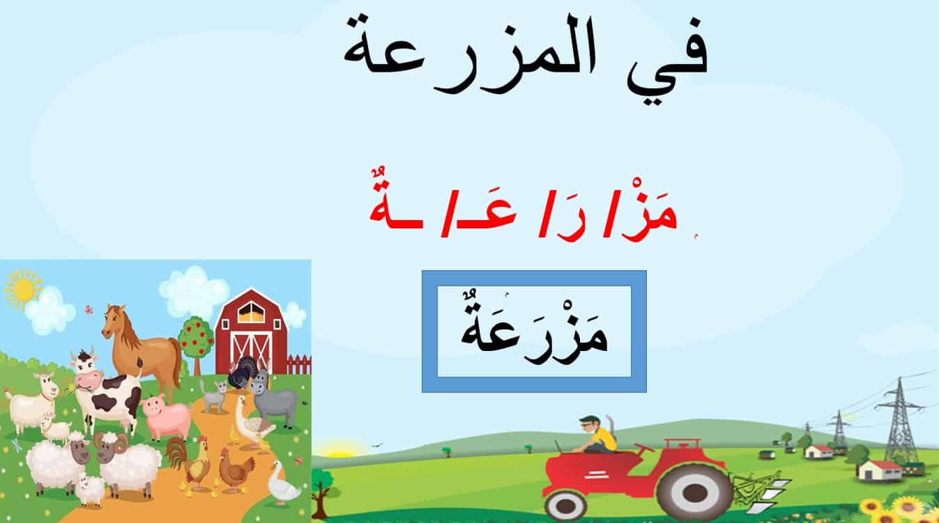 مفردات درس في المزرعة لغير الناطقين بها اللغة العربية الصف الثالث - بوربوينت 