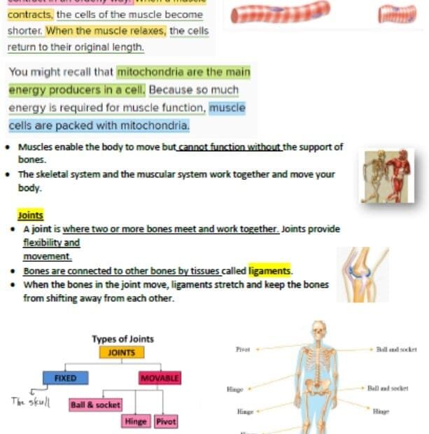 ملخص Structure and support العلوم المتكاملة الصف السادس