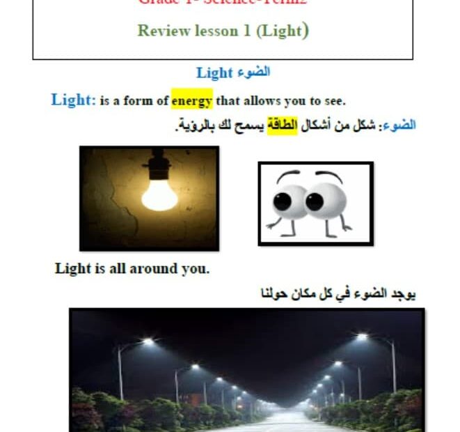 ملخص درس Light العلوم المتكاملة الصف الأول