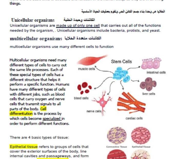 ملخص body system العلوم المتكاملة الصف السادس