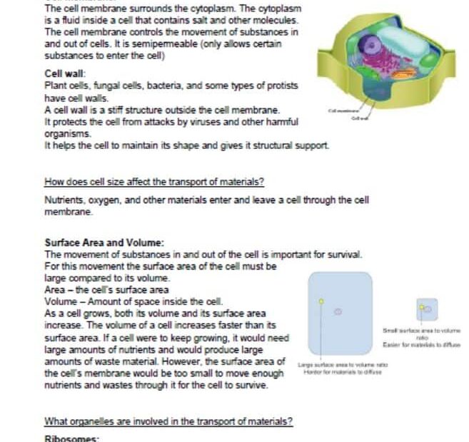 ملخص CELL STRUCTURE AND FUNCTION العلوم المتكاملة الصف السادس