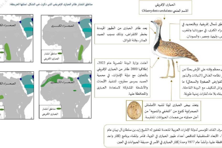 امتحان نهاية الفصل الدراسات الإجتماعية والتربية الوطنية الصف الثاني عشر الفصل الدراسي الثاني 2022-2023