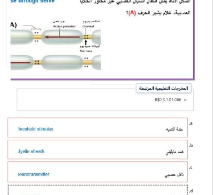 حل امتحان نهاية الفصل الأحياء الصف التاسع الفصل الدراسي الثاني