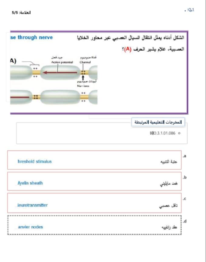 حل امتحان نهاية الفصل الأحياء الصف التاسع الفصل الدراسي الثاني