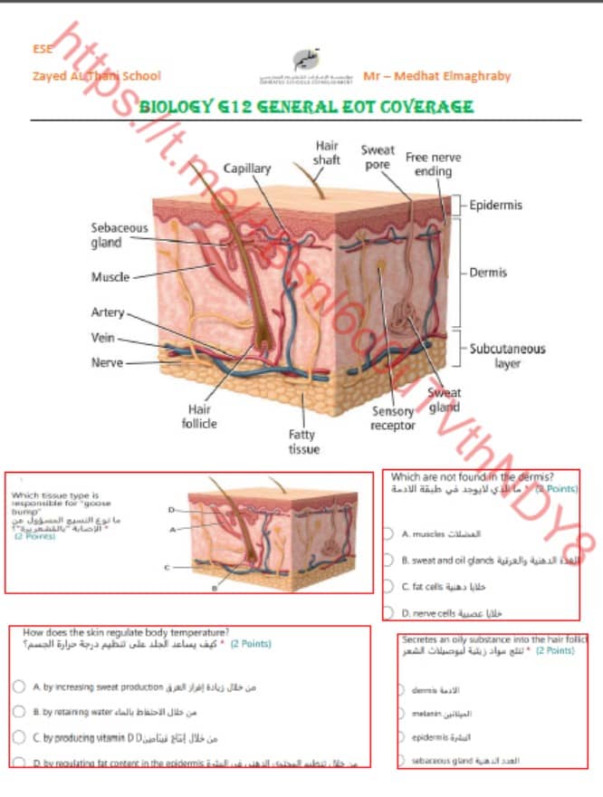 مراجعة حسب الهيكل الوزاري الأحياء الصف الثاني عشر عام