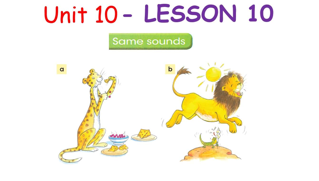 حل درس LESSON 10 same sounds اللغة الإنجليزية الصف السادس - بوربوينت