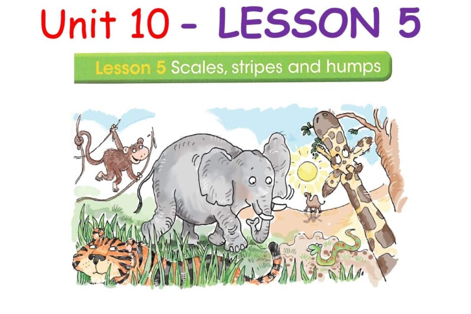 حل درس LESSON 5 Scales stripes and humps اللغة الإنجليزية الصف السادس - بوربوينت