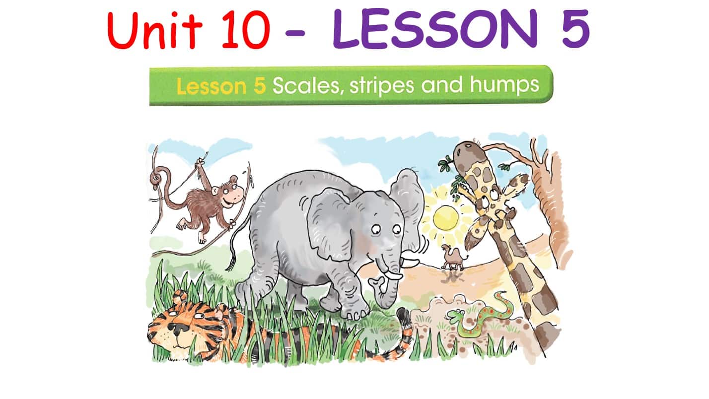 حل درس LESSON 5 Scales stripes and humps اللغة الإنجليزية الصف السادس - بوربوينت