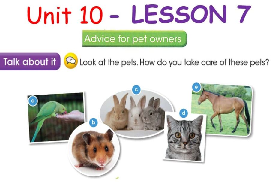 حل درس LESSON 7 Advice for pet owners اللغة الإنجليزية الصف السادس - بوربوينت