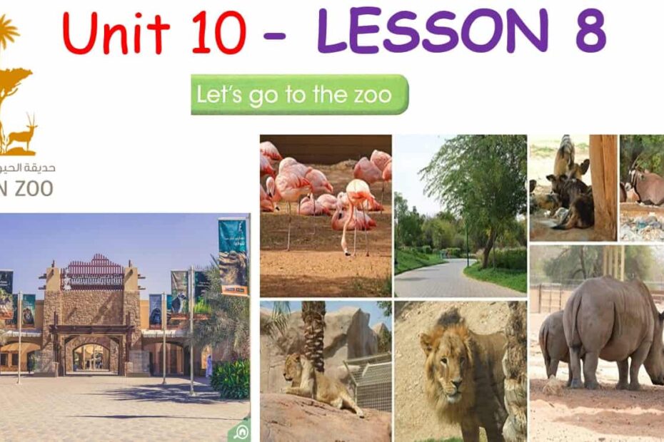 حل درس LESSON 8 Lets go to the zoo اللغة الإنجليزية الصف السادس - بوربوينت