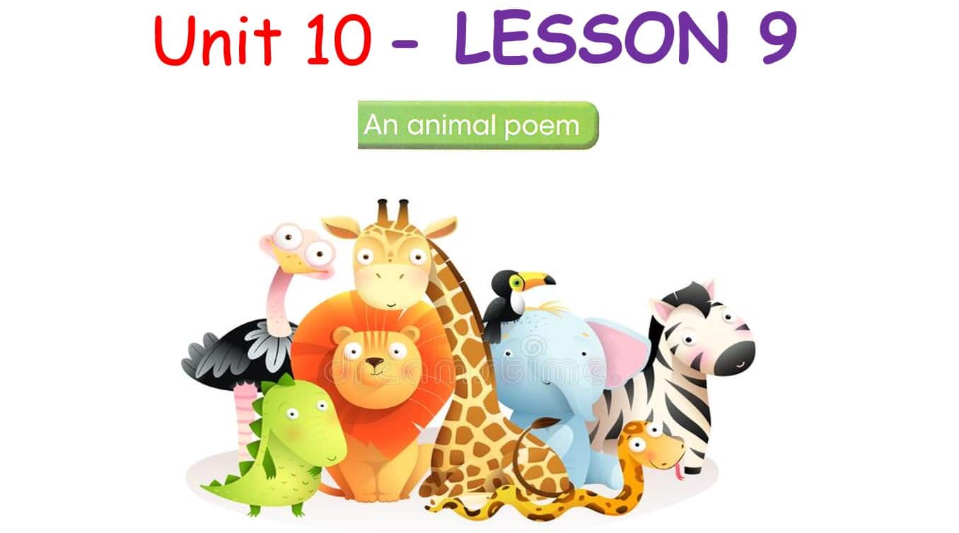 حل درس LESSON 9 An animal poem اللغة الإنجليزية الصف السادس - بوربوينت