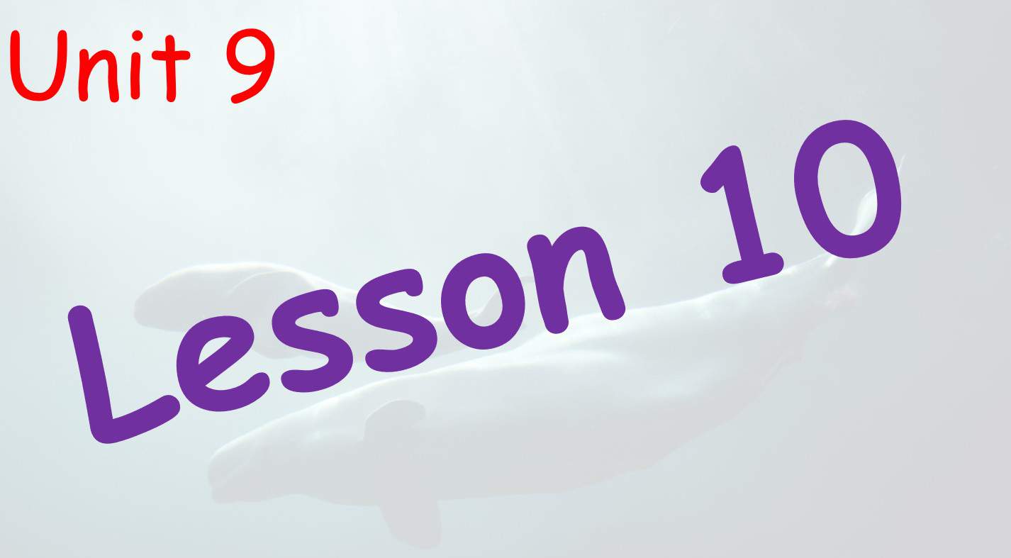 درس LESSON 10 Review اللغة الإنجليزية الصف السادس Access - بوربوينت