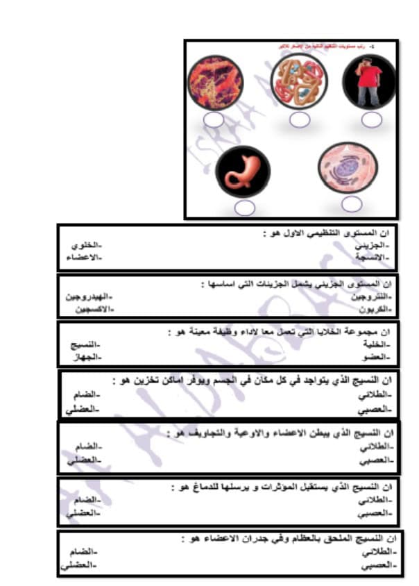 مراجعة عامة للامتحان الأحياء الصف العاشر عام 