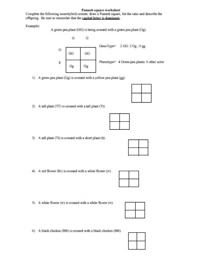 أوراق عمل Punnett Square Practice الرياضيات المتكاملة الصف السادس Reveal