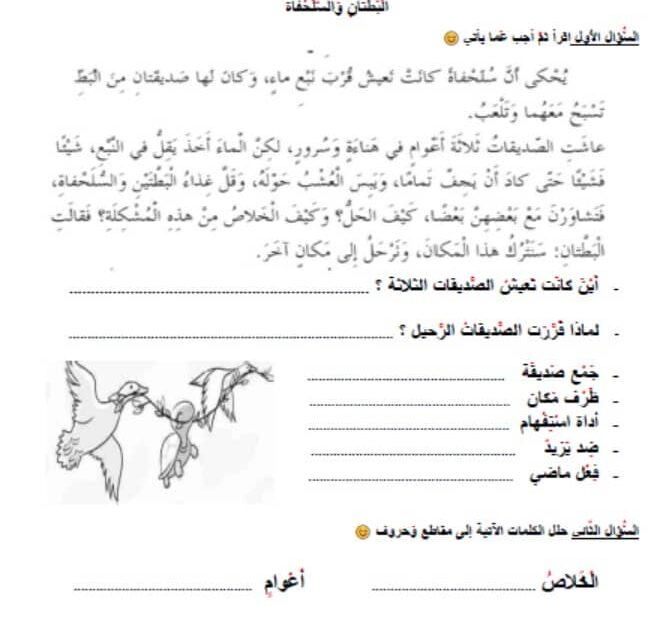 ورقة عمل البطتان والسلحفاة اللغة العربية الصف الثاني