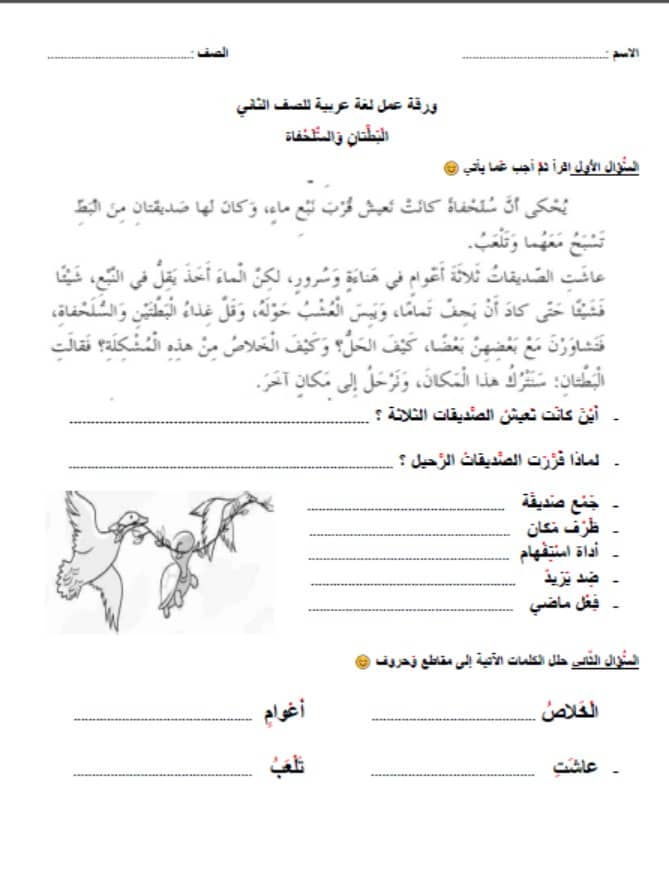 ورقة عمل البطتان والسلحفاة اللغة العربية الصف الثاني 