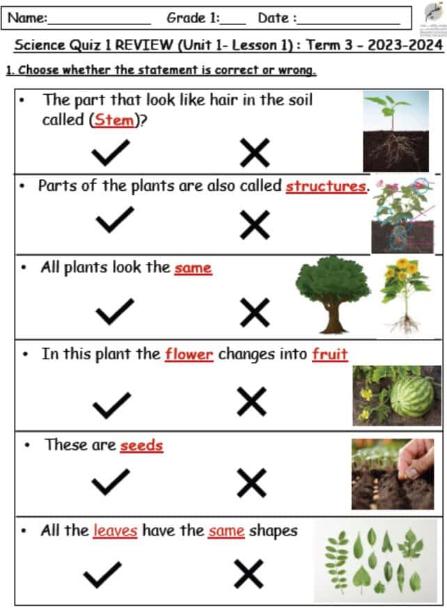 ورقة عمل Science Quiz 1 REVIEW Lesson 1 العلوم المتكاملة الصف الأول 