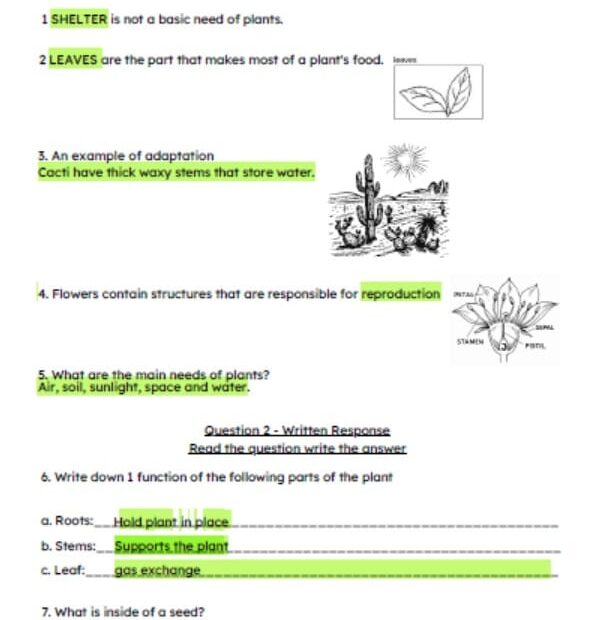 حل اختبار Structures and Functions of Plants العلوم المتكاملة الصف الرابع
