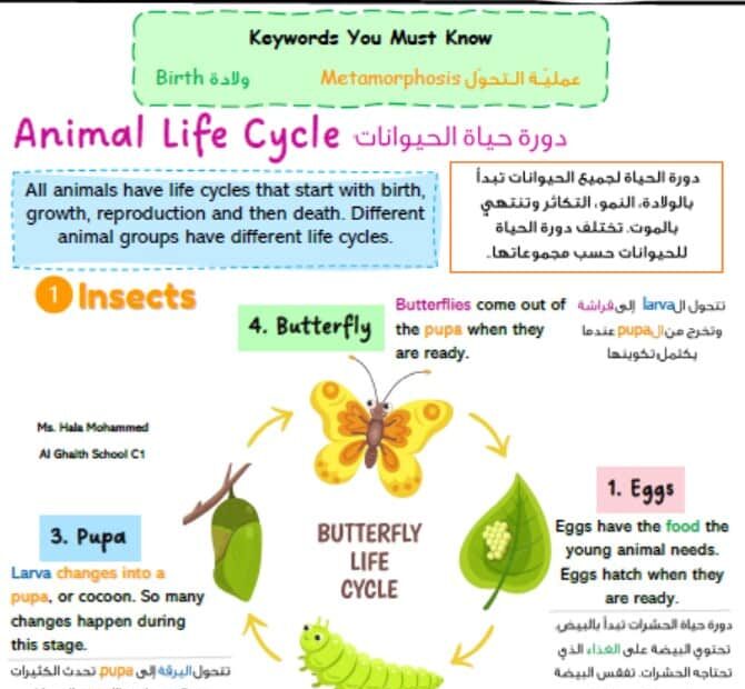 ملخص درس Animal Life Cycle العلوم المتكاملة الصف الثالث